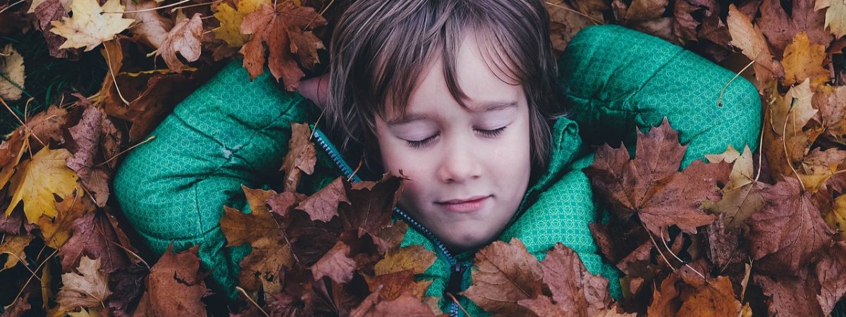 child, leaves, playing